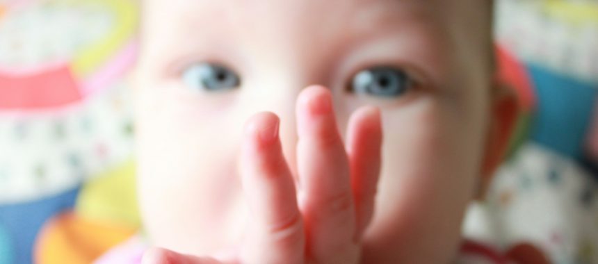 martin-dube-IzgB8k1gF4k-unsplash